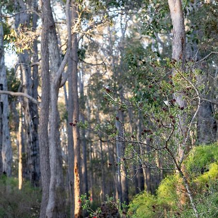 Jarrah Grove Forest Retreat - Adults Only Luxury Chalet Rosa Glen Exterior foto