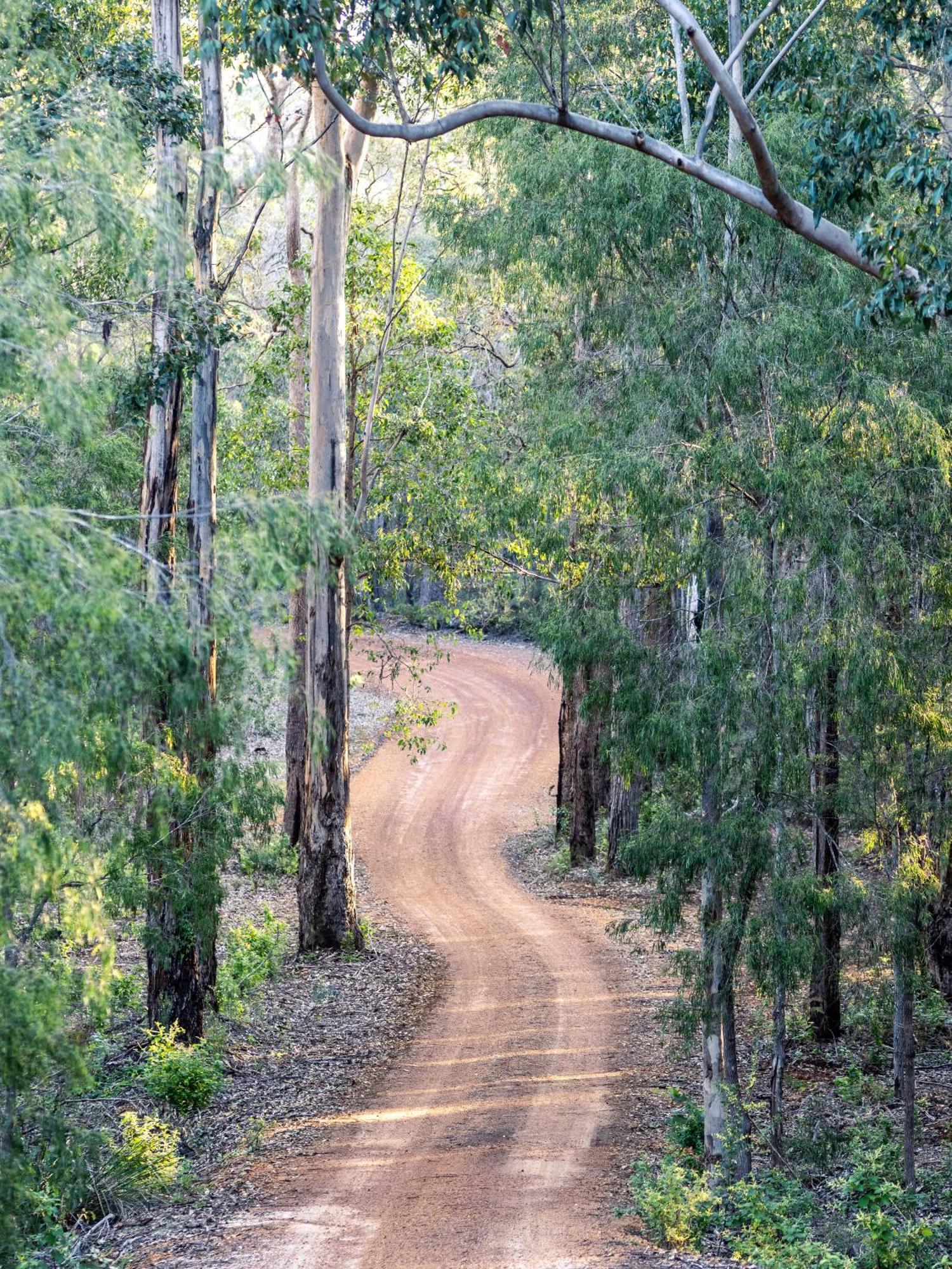 Jarrah Grove Forest Retreat - Adults Only Luxury Chalet Rosa Glen Exterior foto