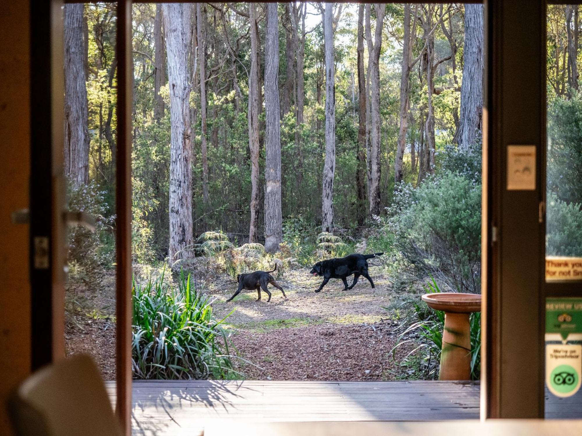 Jarrah Grove Forest Retreat - Adults Only Luxury Chalet Rosa Glen Exterior foto