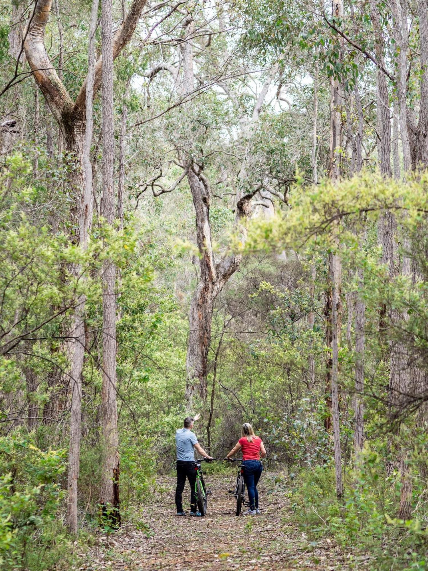 Jarrah Grove Forest Retreat - Adults Only Luxury Chalet Rosa Glen Exterior foto